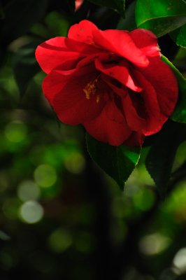 DSC_5986.JPG