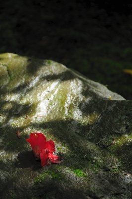 DSC_5987.JPG