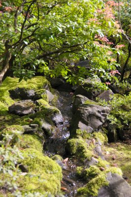 DSC_5994.JPG