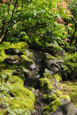 DSC_5995.JPG