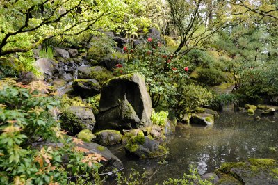DSC_5997.JPG