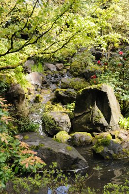 DSC_5998.JPG