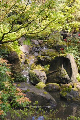 DSC_5999.JPG