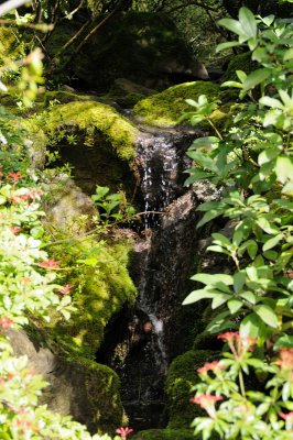 DSC_6005.JPG