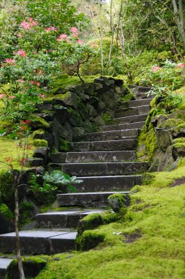 DSC_6015.JPG