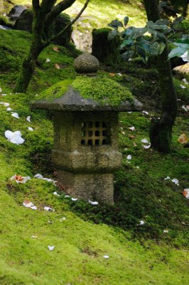 DSC_6019.JPG