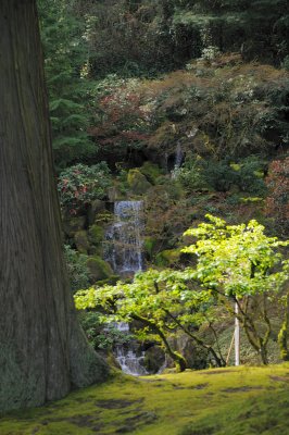 DSC_6023.JPG