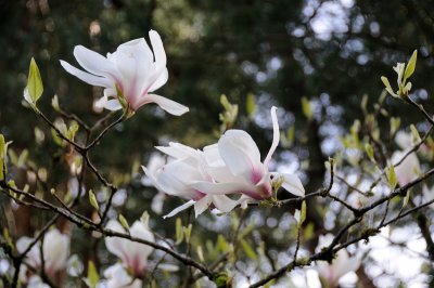 DSC_6028.JPG
