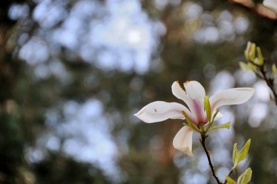 DSC_6032.JPG