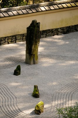 DSC_6037.JPG