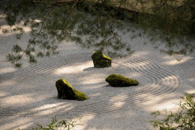 DSC_6038.JPG