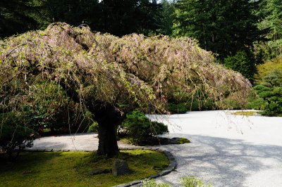 DSC_6046.JPG