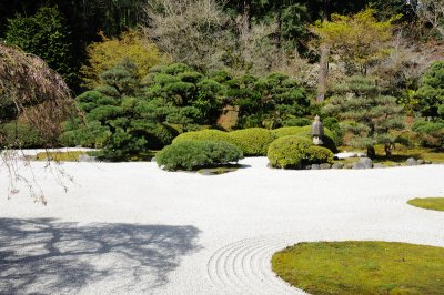 DSC_6047.JPG