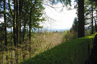 DSC_6065.JPG