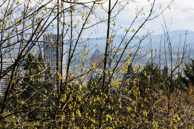 DSC_6066.JPG