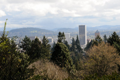 DSC_6069.JPG