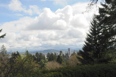 DSC_6070.JPG