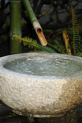 DSC_6072.JPG