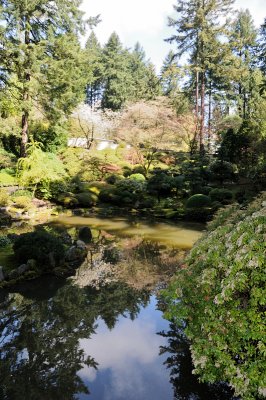 DSC_6085.JPG