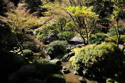 DSC_6089.JPG