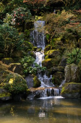 DSC_6097.JPG
