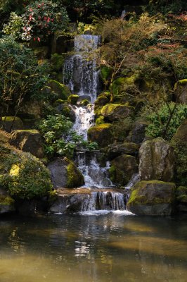 DSC_6098.JPG