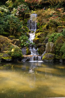 DSC_6101.JPG
