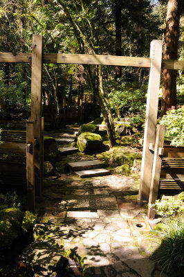 DSC_6111.JPG
