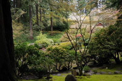 DSC_6134.JPG