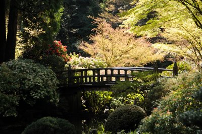 DSC_6153.JPG