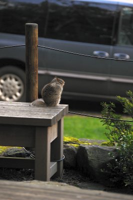 DSC_6156.JPG