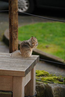 DSC_6158.JPG