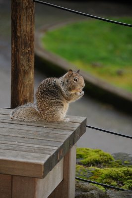 DSC_6159.JPG