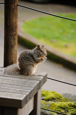 DSC_6160.JPG