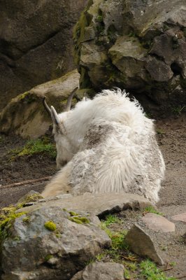 DSC_6162.JPG