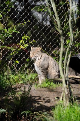 DSC_6168.JPG