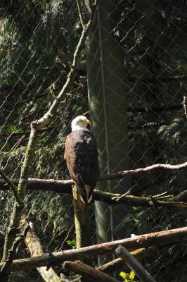 DSC_6172.JPG