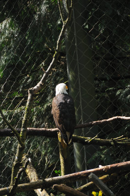 DSC_6173.JPG