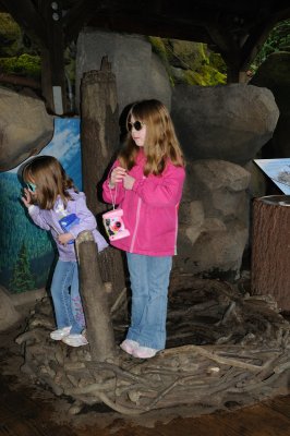 DSC_6178.JPG