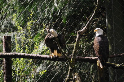 DSC_6180.JPG