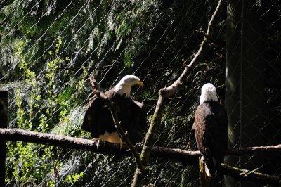 DSC_6183.JPG