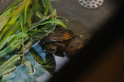DSC_6190.JPG