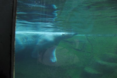 DSC_6254.JPG