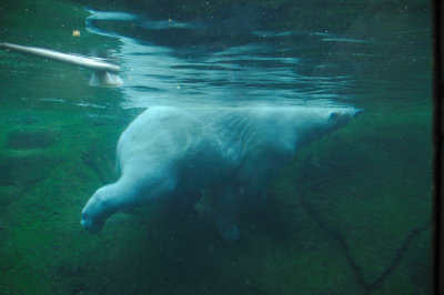 DSC_6256.JPG