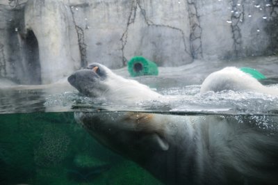 DSC_6257.JPG