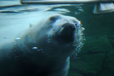 DSC_6260.JPG