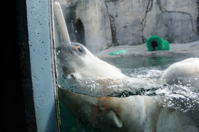 DSC_6263.JPG