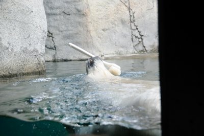 DSC_6264.JPG