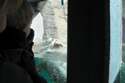 DSC_6268.JPG