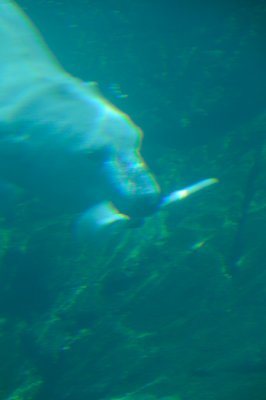 DSC_6269.JPG